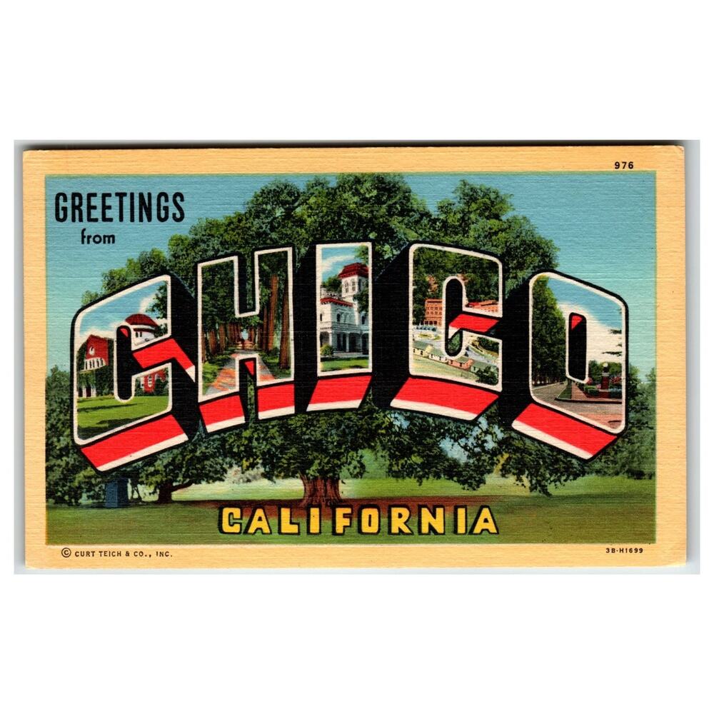 Greetings from Chico California Large Letter Linen Postcard Curt Teich 1943